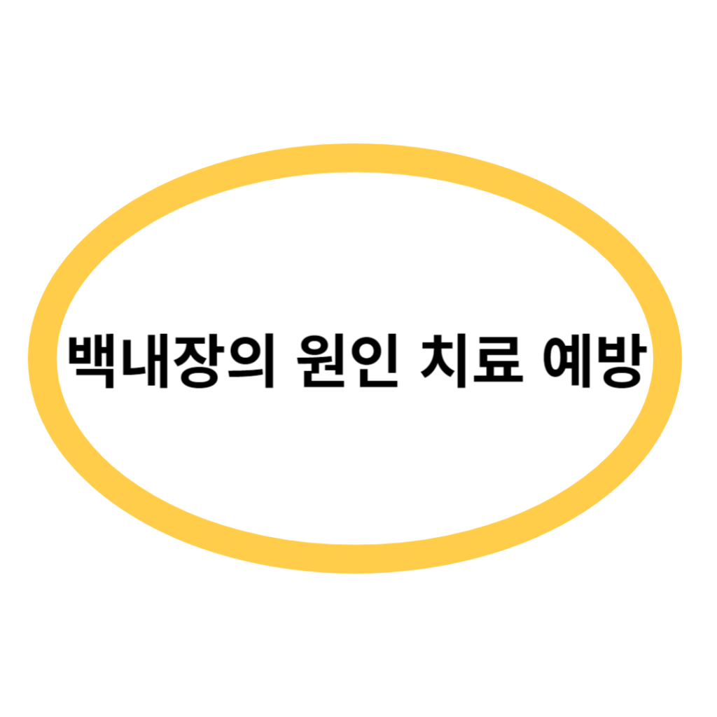 백내장의 원인 치료 예방