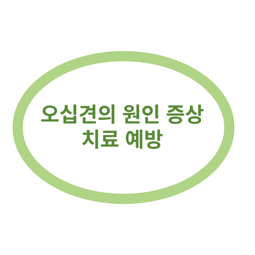 오십견의 원인 증상 치료 예방