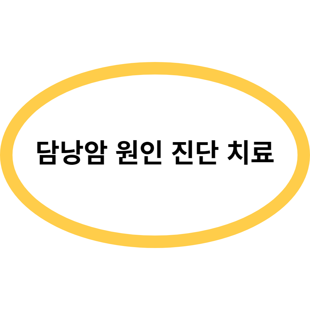 담낭암 원인 진단 치료