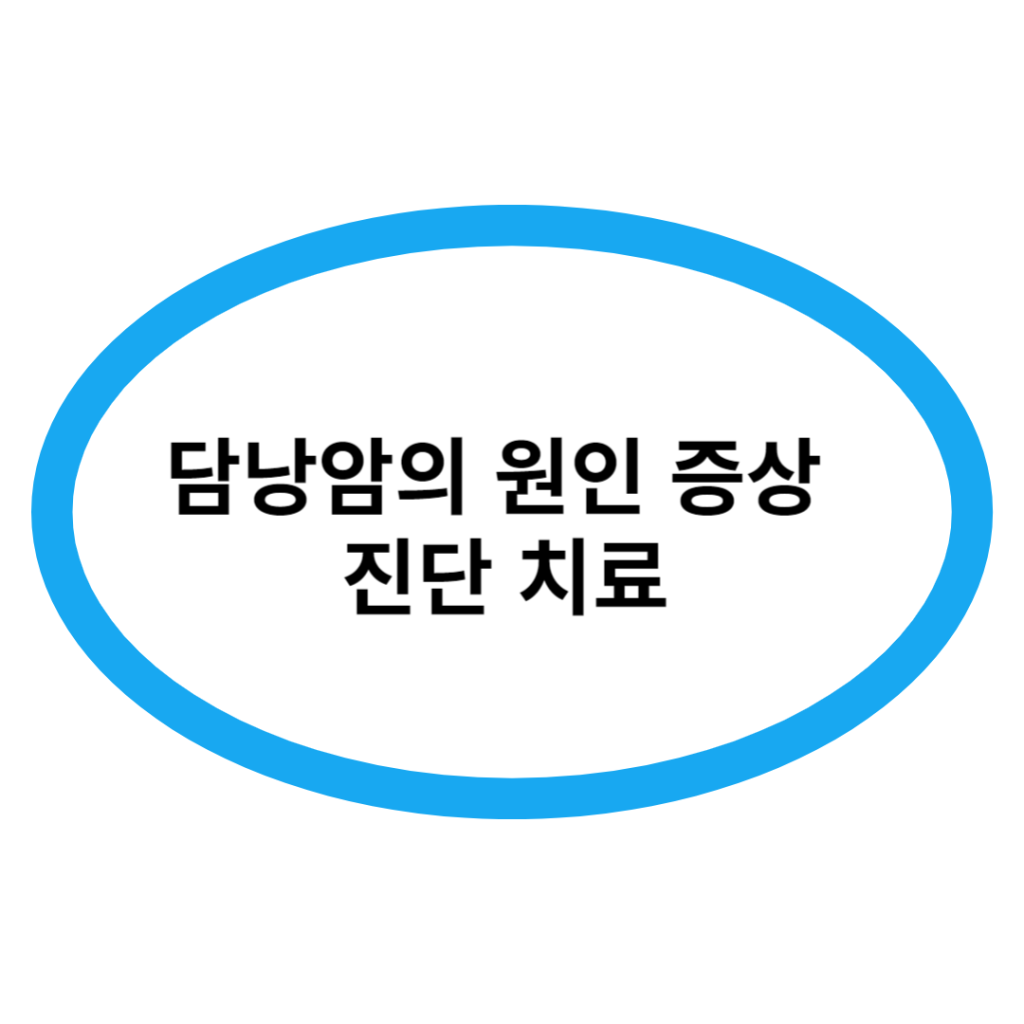 담낭암의 원인 증상 진단 치료