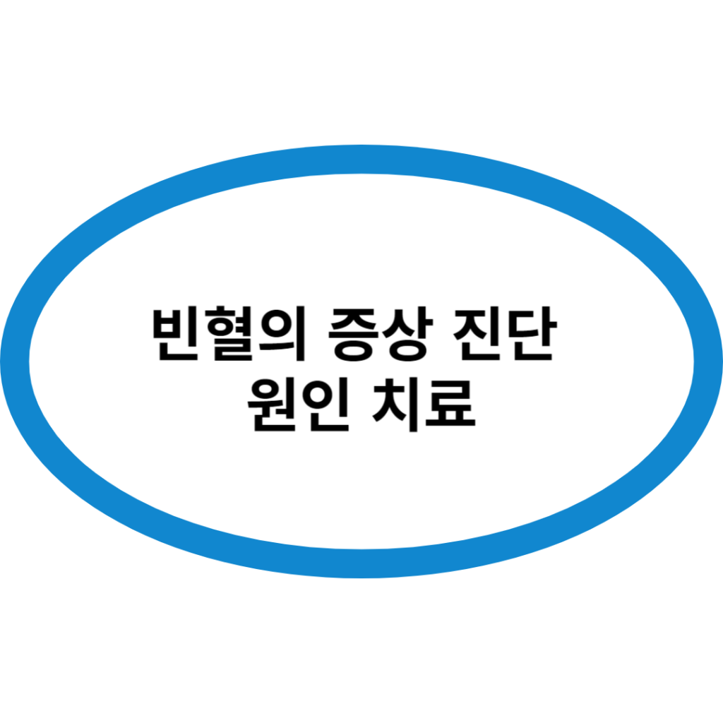 빈혈의 증상 진단 원인 치료