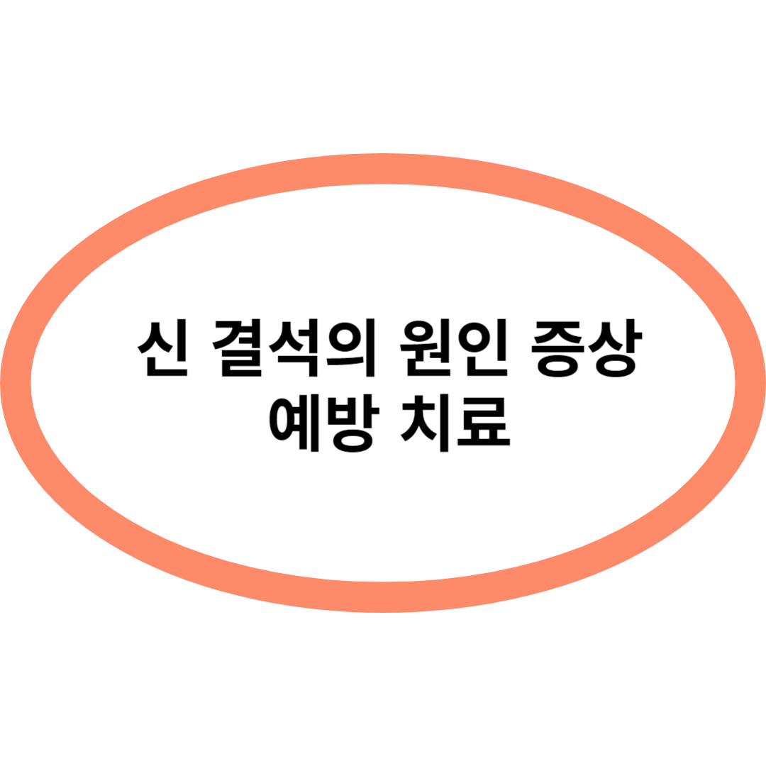 신 결석의 원인 증상 예방 치료