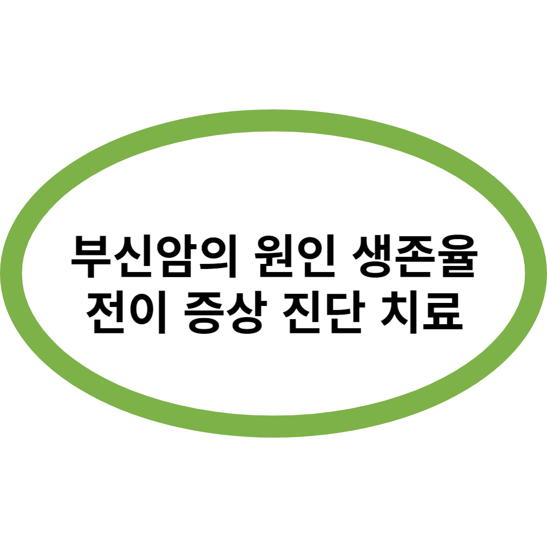 부신암의 원인 생존율 전이 증상 진단 치료