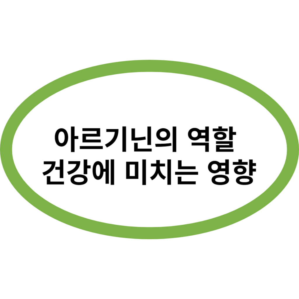 아르기닌의 역할 건강에 미치는 영향