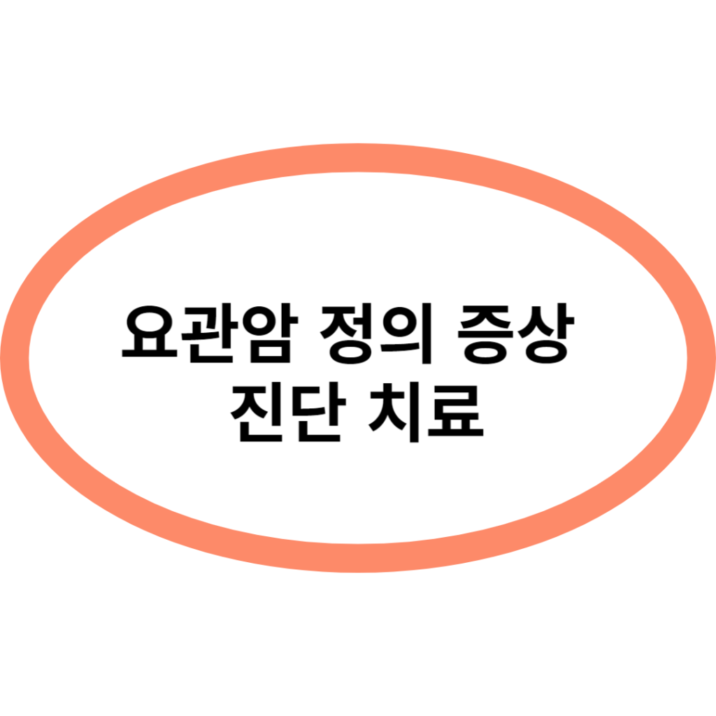 요관암 정의 증상 진단 치료