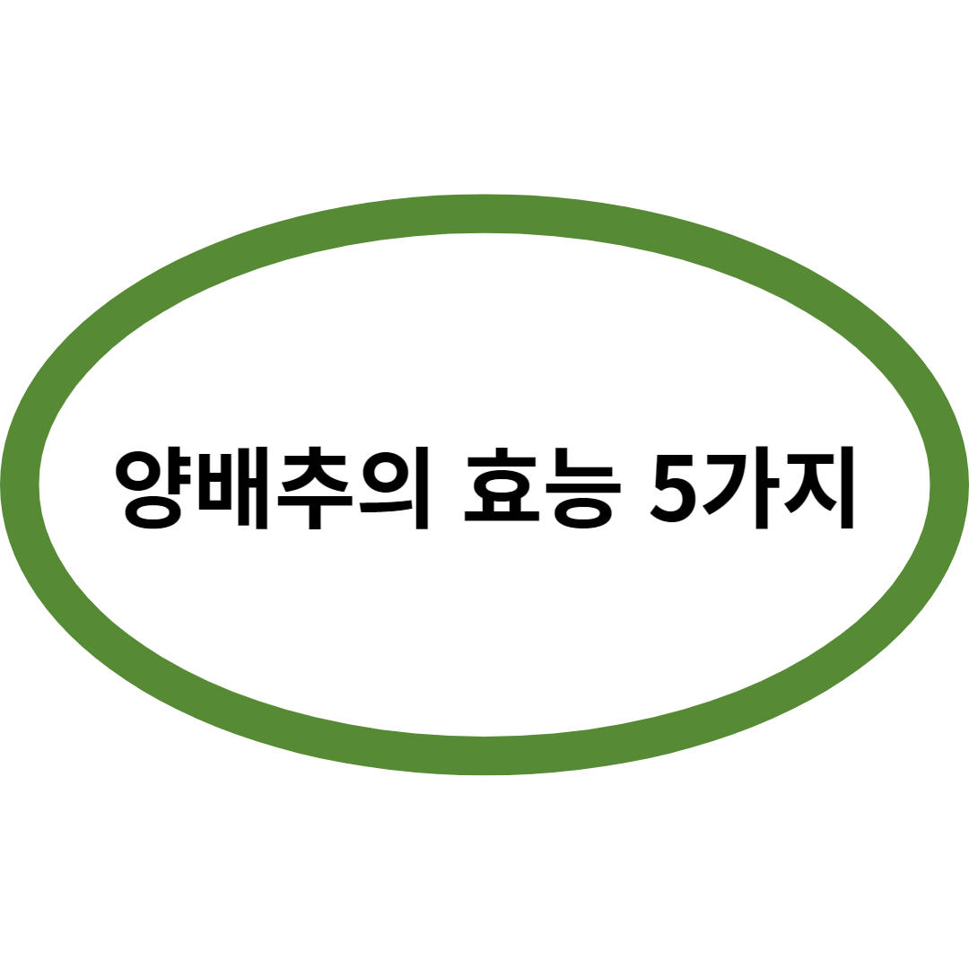 양배추의 효능 5가지