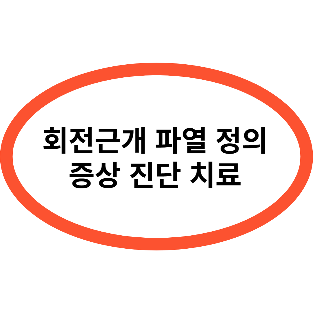 회전근개 파열 정의 증상 진단 치료